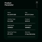 Microflash M210 PRO M.2 SATA III SSD Up to 550MB/s