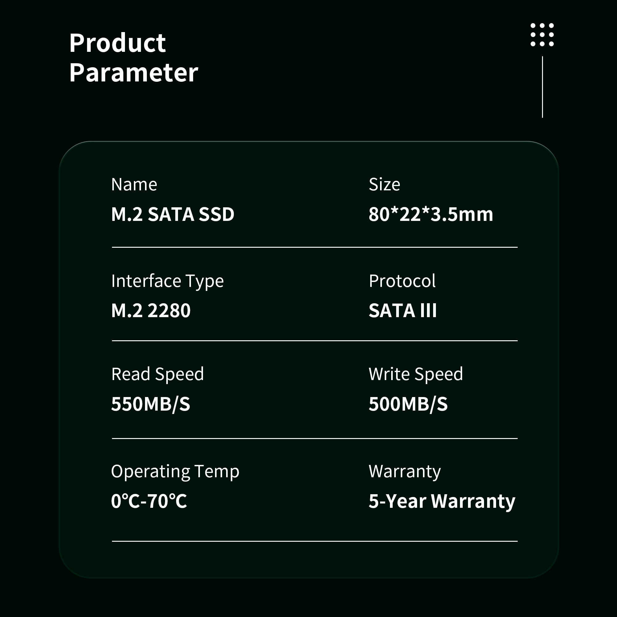 Microflash M210 PRO M.2 SATA III SSD Up to 550MB/s